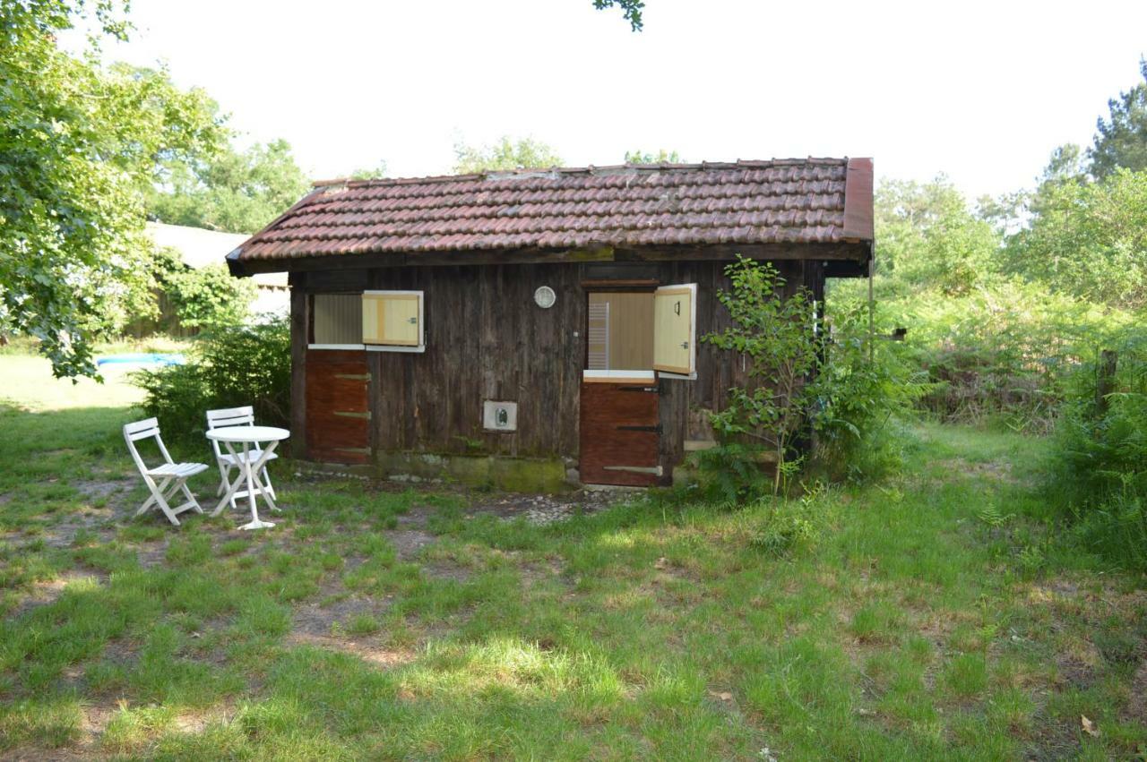Cabane En Foret Onesse-et-Laharie 外观 照片