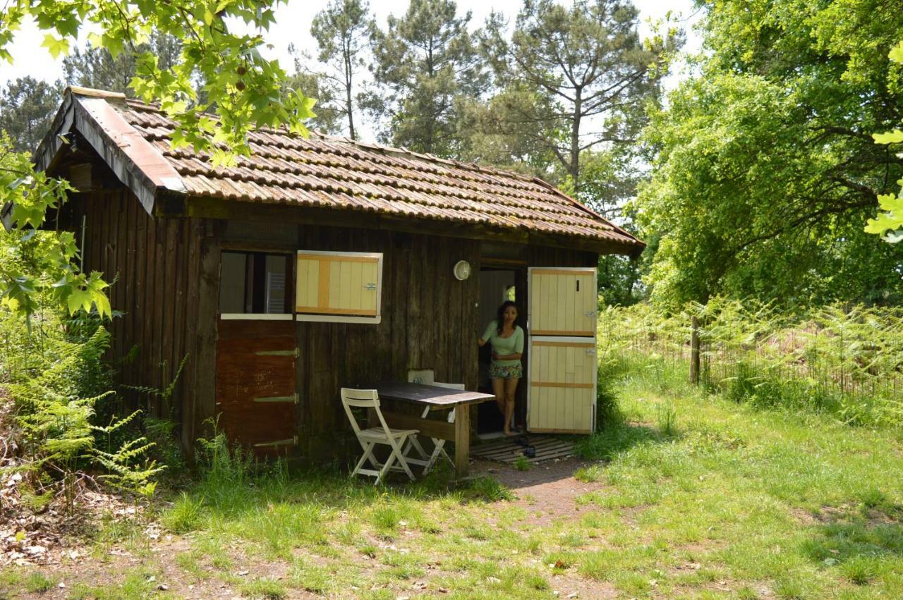 Cabane En Foret Onesse-et-Laharie 外观 照片