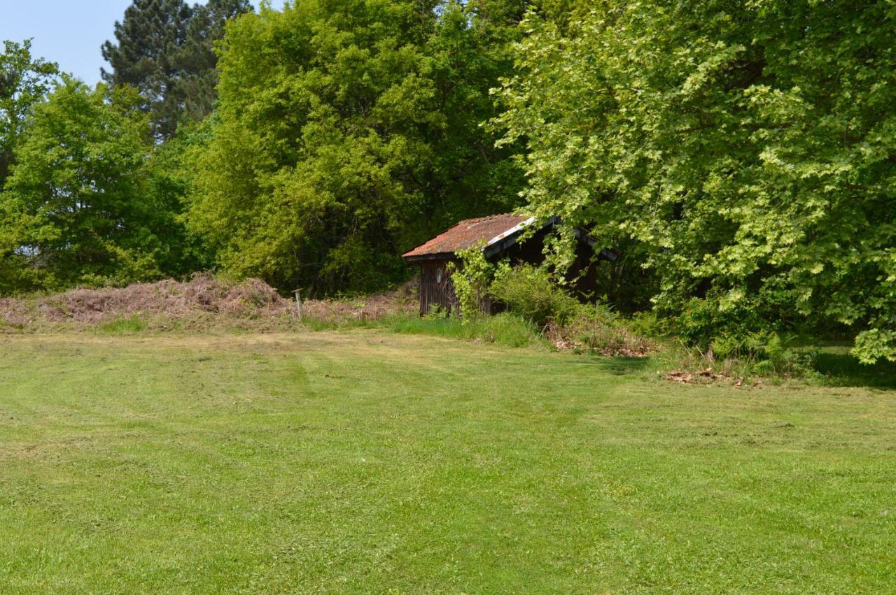 Cabane En Foret Onesse-et-Laharie 外观 照片