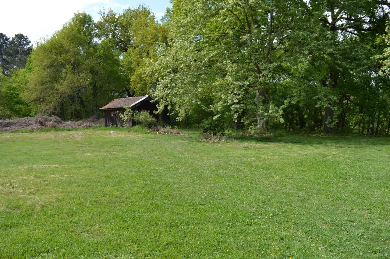 Cabane En Foret Onesse-et-Laharie 外观 照片