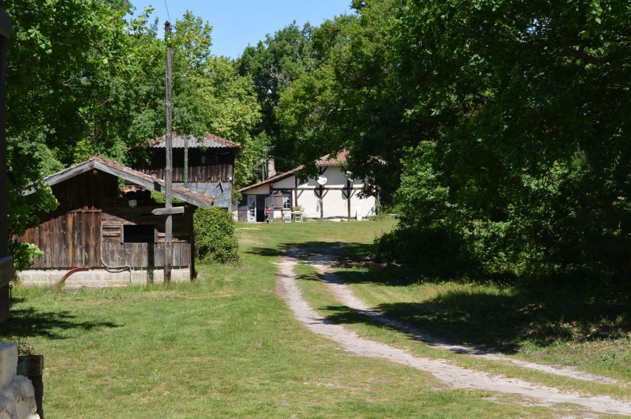 Cabane En Foret Onesse-et-Laharie 外观 照片