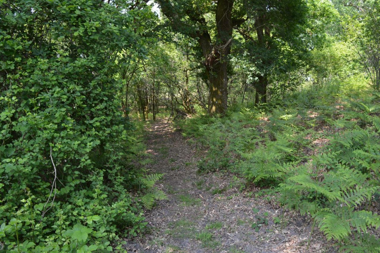 Cabane En Foret Onesse-et-Laharie 外观 照片